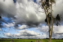 开云体育登录-黑色奇迹夜！巴黎圣日耳曼血性逆转铸就欧冠史诗