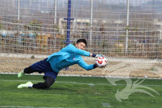 包含深圳主场胜上海申花，备战欧洲杯预选赛的词条