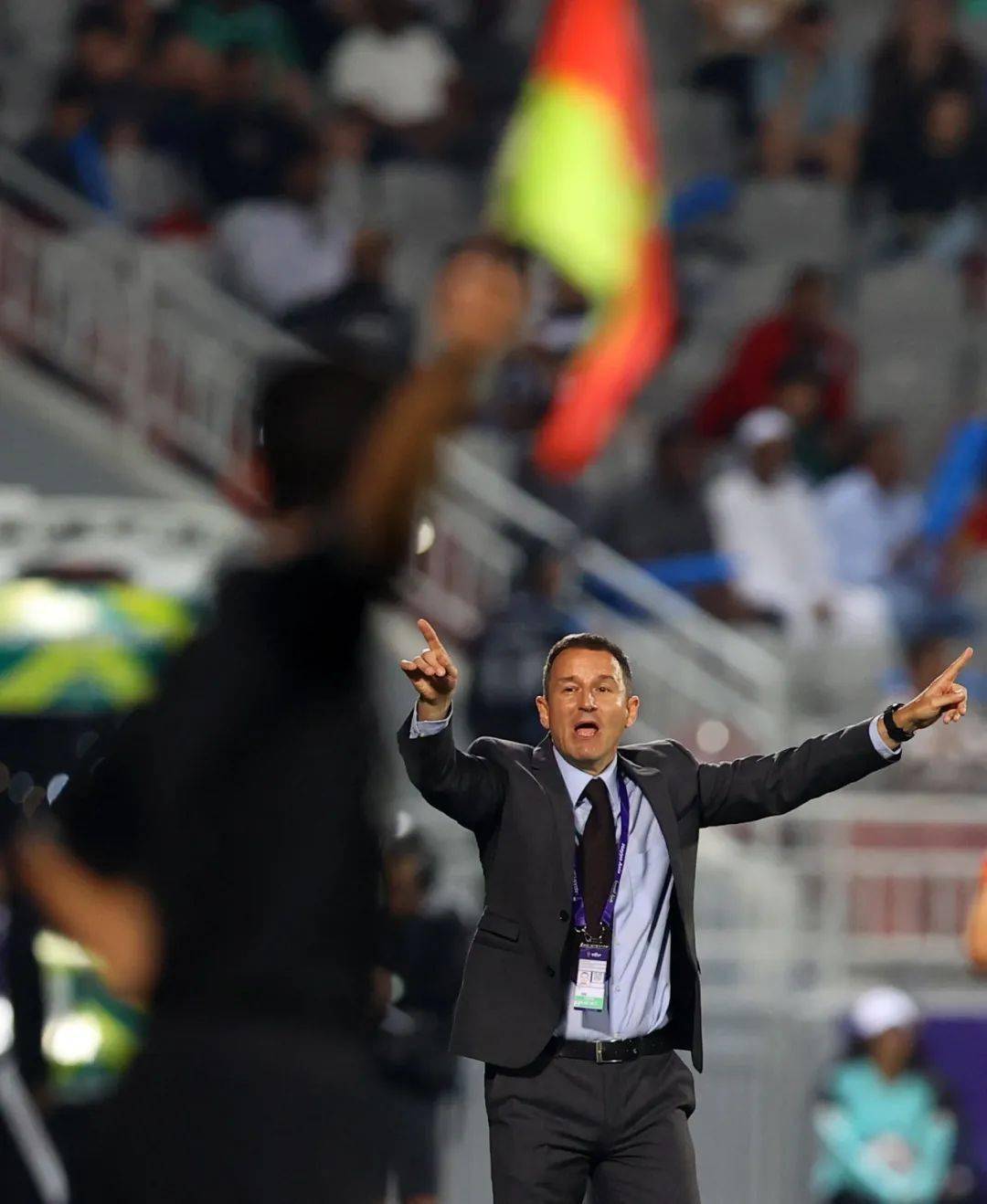 欧锦赛上演悬疑战役,球迷欢呼 欧锦赛上演悬疑战役,球迷欢呼