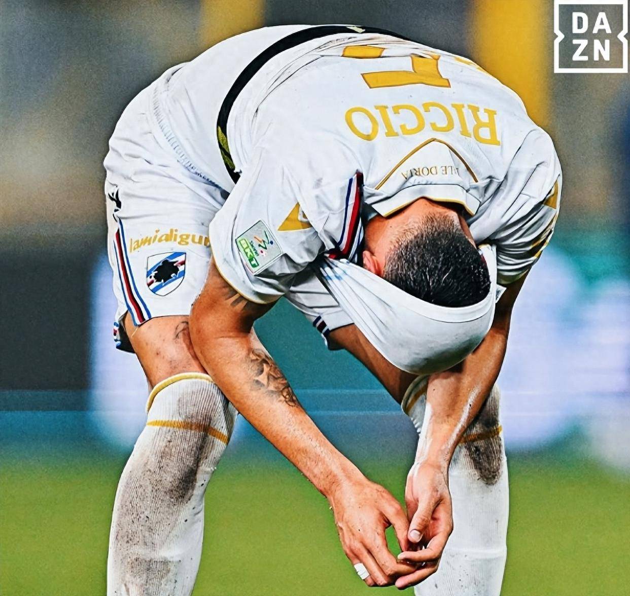 弗罗西诺内击败对手,保持良好状态的简单介绍 弗罗西诺内击败对手,保持良好状态的简单介绍